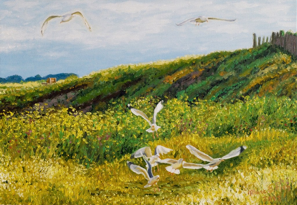 peinture mouettes bretagne