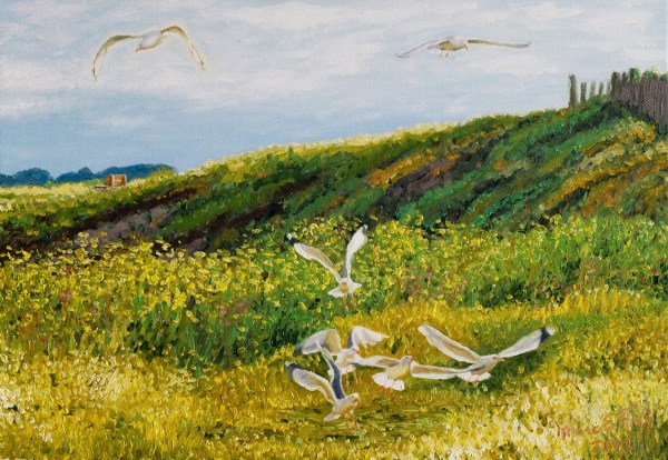 peinture mouettes bretagne